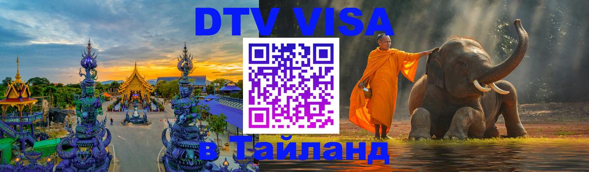 Оформление DTV визы под ключ: стоимость и тарифы, только загранпаспорт - 19.11.2025 
